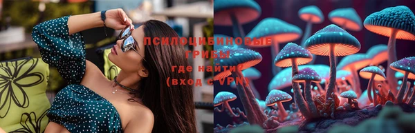 крисы Абаза