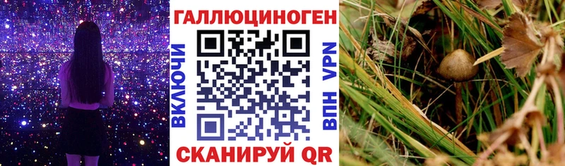 Псилоцибиновые грибы мицелий  дарнет шоп  Шлиссельбург 